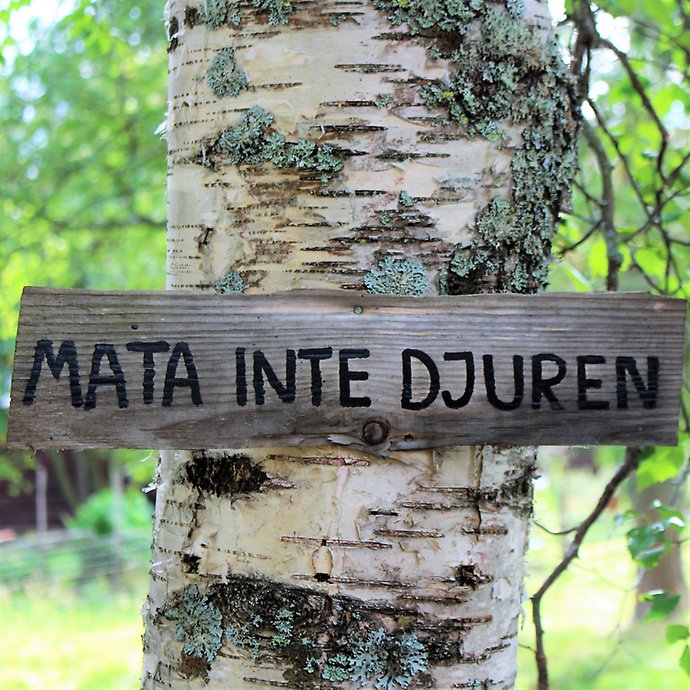 Mata inte djuren