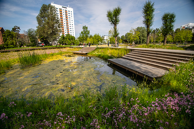 Sjödalsparken. Foto: Anna Kjellander Ek